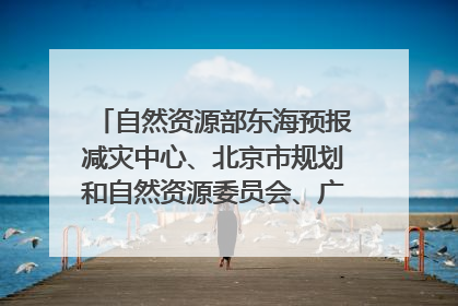 自然资源部东海预报减灾中心、北京市规划和自然资源委员会、广东省林业系统等正在招聘｜招聘信息