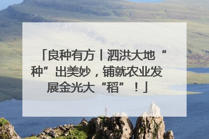 良种有方丨泗洪大地“种”出美妙，铺就农业发展金光大“稻”！