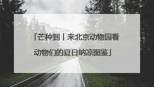 芒种到丨来北京动物园看动物们的夏日纳凉图鉴