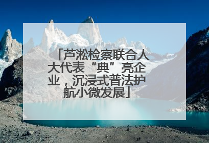 芦淞检察联合人大代表“典”亮企业，沉浸式普法护航小微发展