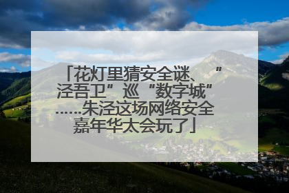 花灯里猜安全谜、“泾吾卫”巡“数字城”……朱泾这场网络安全嘉年华太会玩了