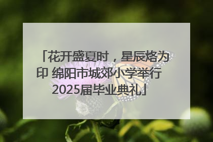 花开盛夏时，星辰烙为印 绵阳市城郊小学举行2025届毕业典礼