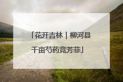 花开吉林｜柳河县千亩芍药竞芳菲