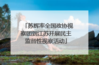 苏辉率全国政协视察团到江苏开展民主监督性视察活动