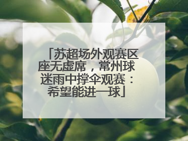 苏超场外观赛区座无虚席，常州球迷雨中撑伞观赛：希望能进一球