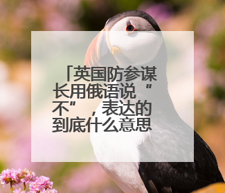英国防参谋长用俄语说“不”，表达的到底什么意思？