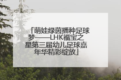 萌娃绿茵播种足球梦——LHK福宝之星第三届幼儿足球嘉年华精彩绽放