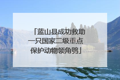 蓝山县成功救助一只国家二级重点保护动物领角鸮