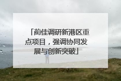 蔺佳调研新港区重点项目，强调协同发展与创新突破