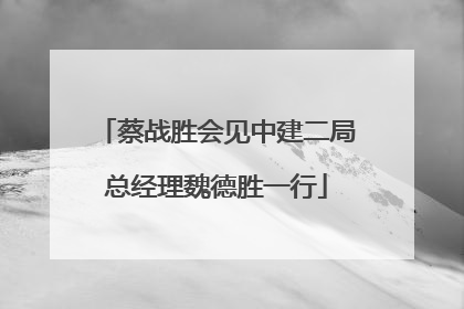 蔡战胜会见中建二局总经理魏德胜一行