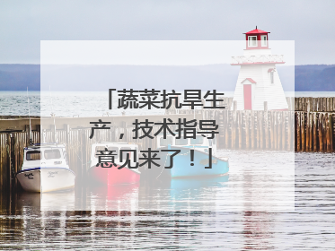 蔬菜抗旱生产，技术指导意见来了！