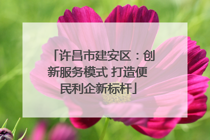 许昌市建安区：创新服务模式 打造便民利企新标杆