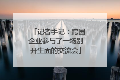 记者手记：跨国企业参与了一场别开生面的交流会