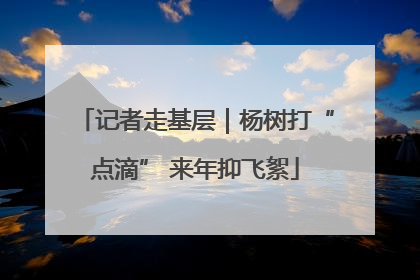 记者走基层｜杨树打“点滴” 来年抑飞絮