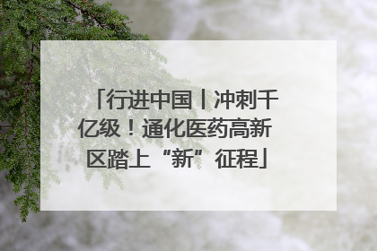 行进中国丨冲刺千亿级！通化医药高新区踏上“新”征程
