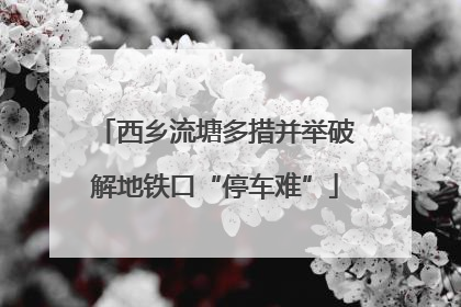 西乡流塘多措并举破解地铁口“停车难”