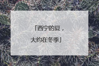 西宁的夏，大约在冬季