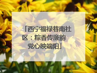 西宁福禄巷南社区：粽香传廉韵 党心映端阳