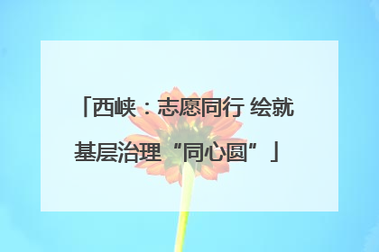 西峡：志愿同行 绘就基层治理“同心圆”