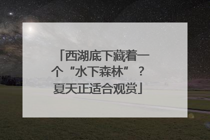 西湖底下藏着一个“水下森林”？夏天正适合观赏