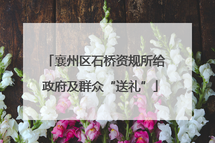 襄州区石桥资规所给政府及群众“送礼”