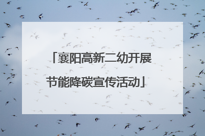 襄阳高新二幼开展节能降碳宣传活动