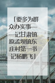 要多为群众办实事——记甘肃镇原孟坝镇东庄村第一书记杨鹏飞