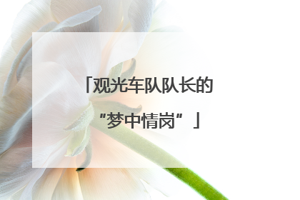 观光车队队长的“梦中情岗”
