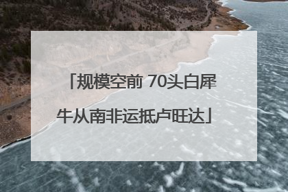 规模空前 70头白犀牛从南非运抵卢旺达