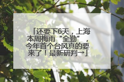 还要下6天，上海本周梅雨“全勤”，今年首个台风真的要来了！最新研判→