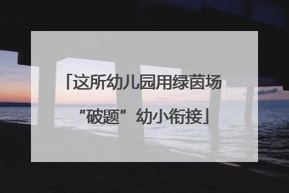 这所幼儿园用绿茵场“破题”幼小衔接