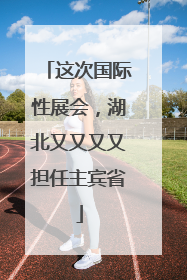 这次国际性展会，湖北又又又又担任主宾省