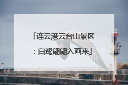 连云港云台山景区：白鹭翩翩入画来
