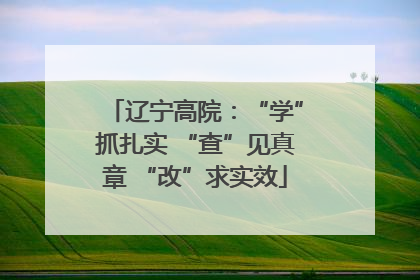 辽宁高院：“学”抓扎实 “查”见真章 “改”求实效