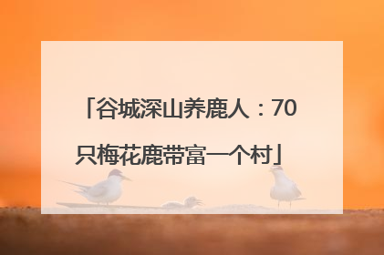谷城深山养鹿人：70只梅花鹿带富一个村
