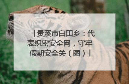 贵溪市白田乡：代表织密安全网，守牢假期安全关（图）