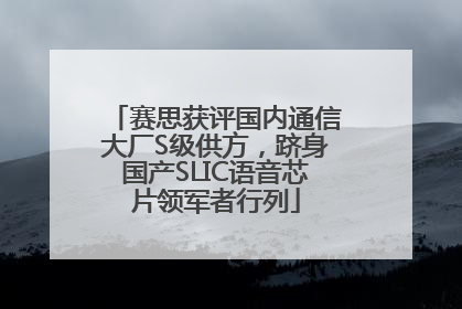 赛思获评国内通信大厂S级供方，跻身国产SLIC语音芯片领军者行列
