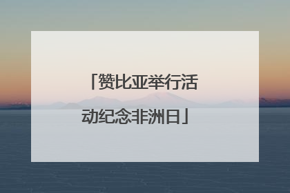 赞比亚举行活动纪念非洲日