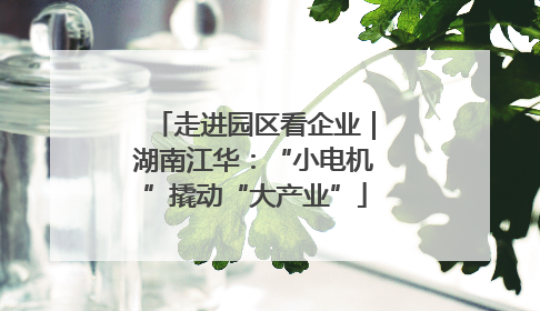 走进园区看企业｜湖南江华：“小电机”撬动“大产业”