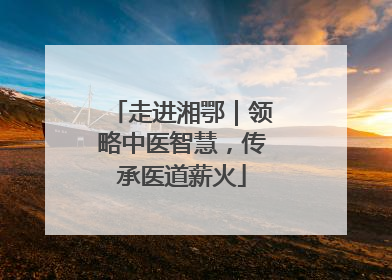 走进湘鄂｜领略中医智慧，传承医道薪火