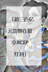 超三百亿元货物在厦享RCEP红利