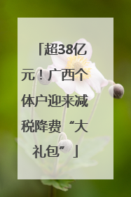 超38亿元！广西个体户迎来减税降费“大礼包”