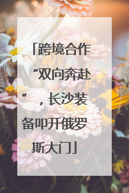 跨境合作“双向奔赴”，长沙装备叩开俄罗斯大门