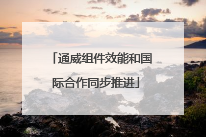 通威组件效能和国际合作同步推进