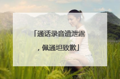 通话录音遭泄露，佩通坦致歉