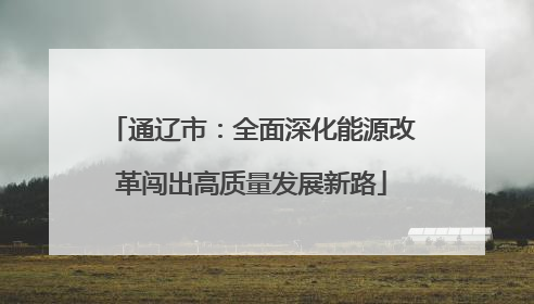通辽市：全面深化能源改革闯出高质量发展新路