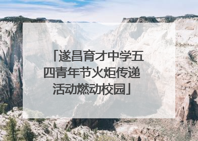 遂昌育才中学五四青年节火炬传递活动燃动校园