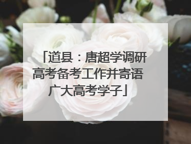 道县：唐超学调研高考备考工作并寄语广大高考学子