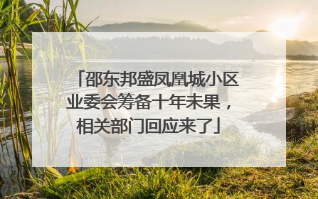 邵东邦盛凤凰城小区业委会筹备十年未果，相关部门回应来了