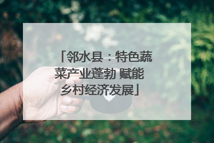 邻水县：特色蔬菜产业蓬勃 赋能乡村经济发展